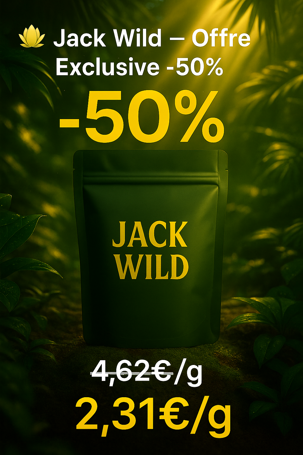 🌿 Jack Wild – Offre Sauvage -50 %