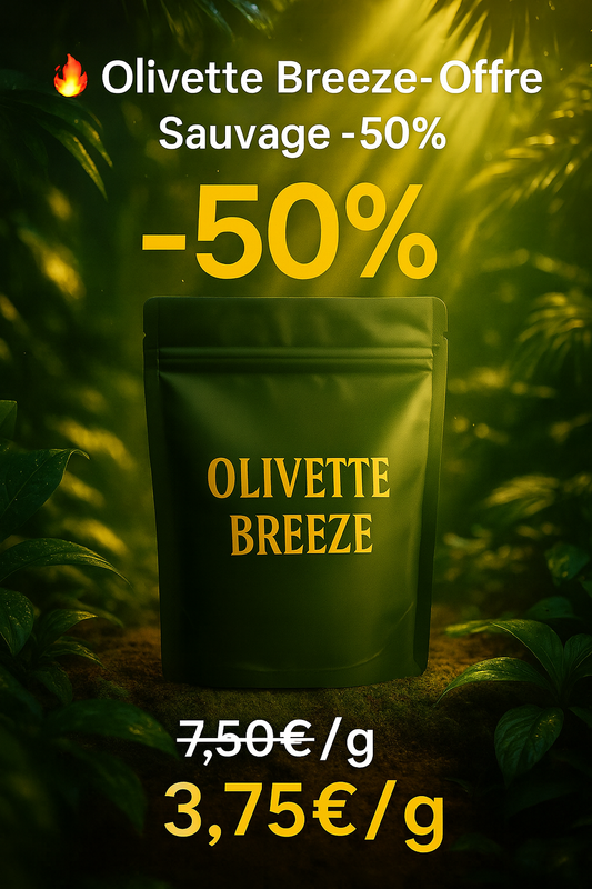 🌟 Olivette Breeze – Offre Sauvage -50 %