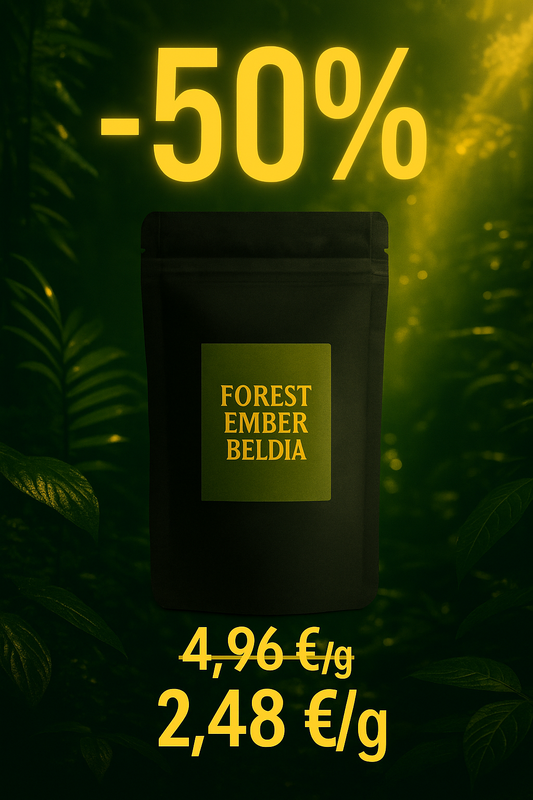 🔥 Forest Ember Beldia – Offre Spéciale -50%