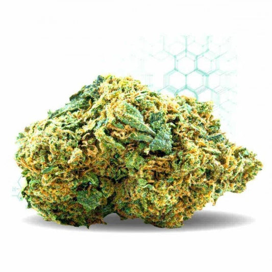 🌿 Sour Diesel Greenhouse – Fleur CBD Premium 15 % | CBD Wild